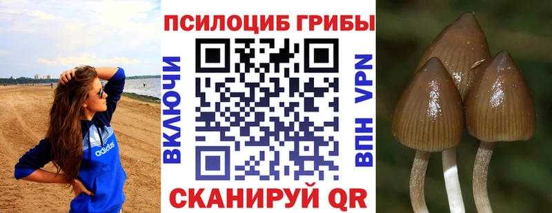 Галлюциногенные грибы ЛСД  Апатиты 