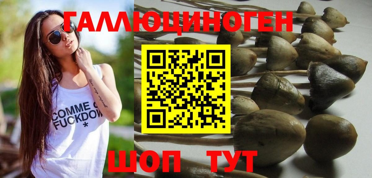 Галлюциногенные грибы GOLDEN TEACHER  Вход с VPN  Галлюциногенные грибы ЛСД  Апатиты 