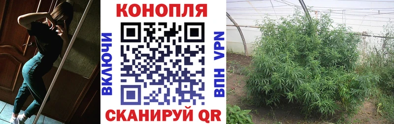 omg маркетплейс Апатиты Бошки Шишки Bruce Banner